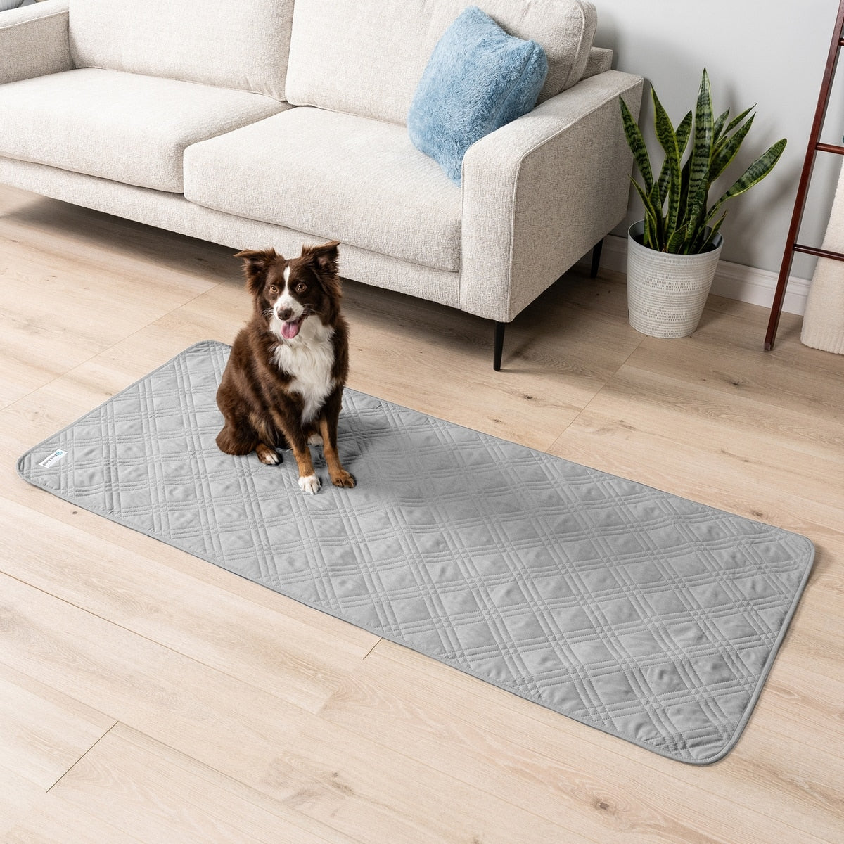 Pet mat non-slip textured backing