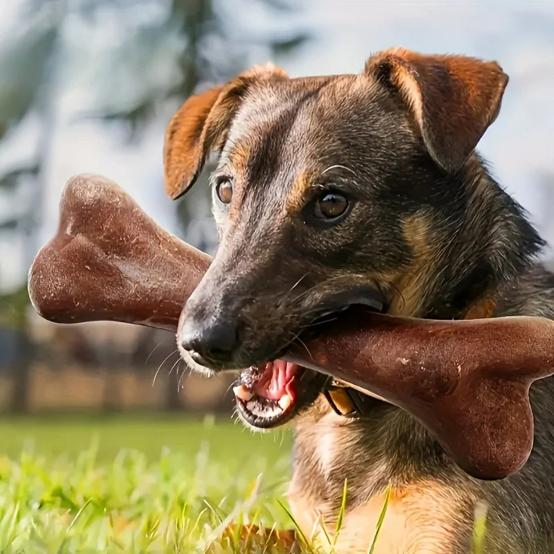 Beef Flavored Bone Chew Toy for Dogs