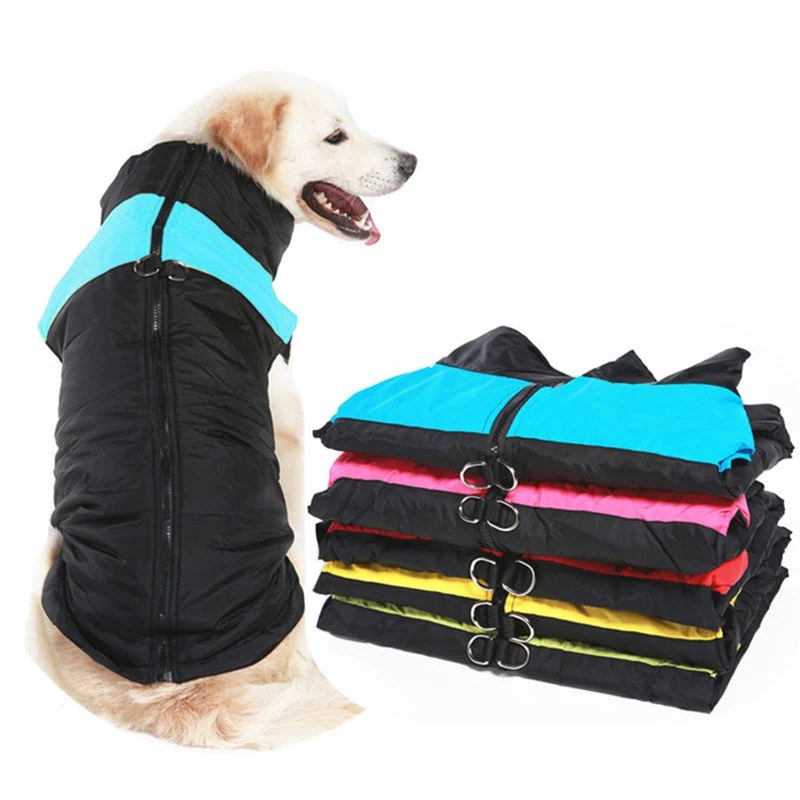 Winter coat color options