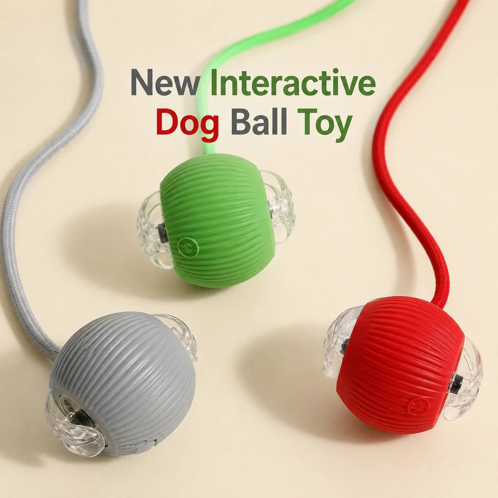 Dog chasing rolling interactive ball