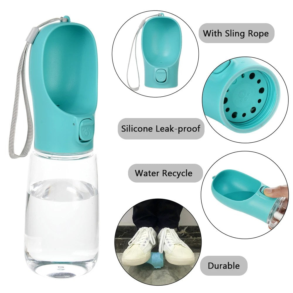 Water bottle clipped to leash