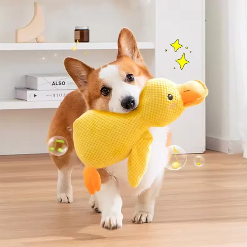 Duck toy size comparison