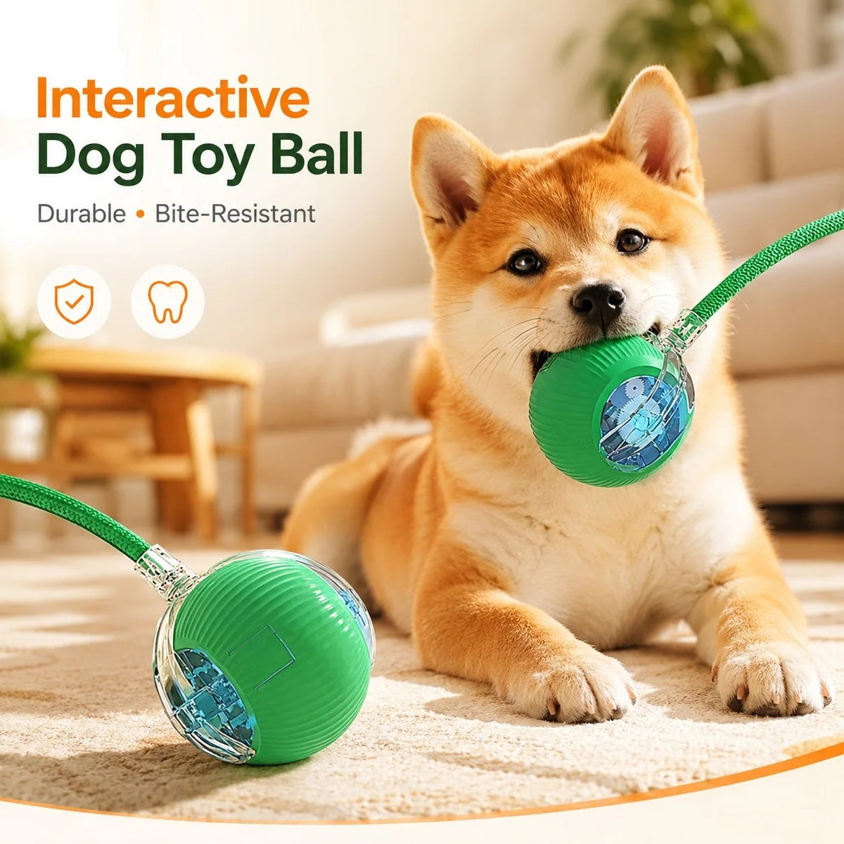 Dog playing with automatic ball toy