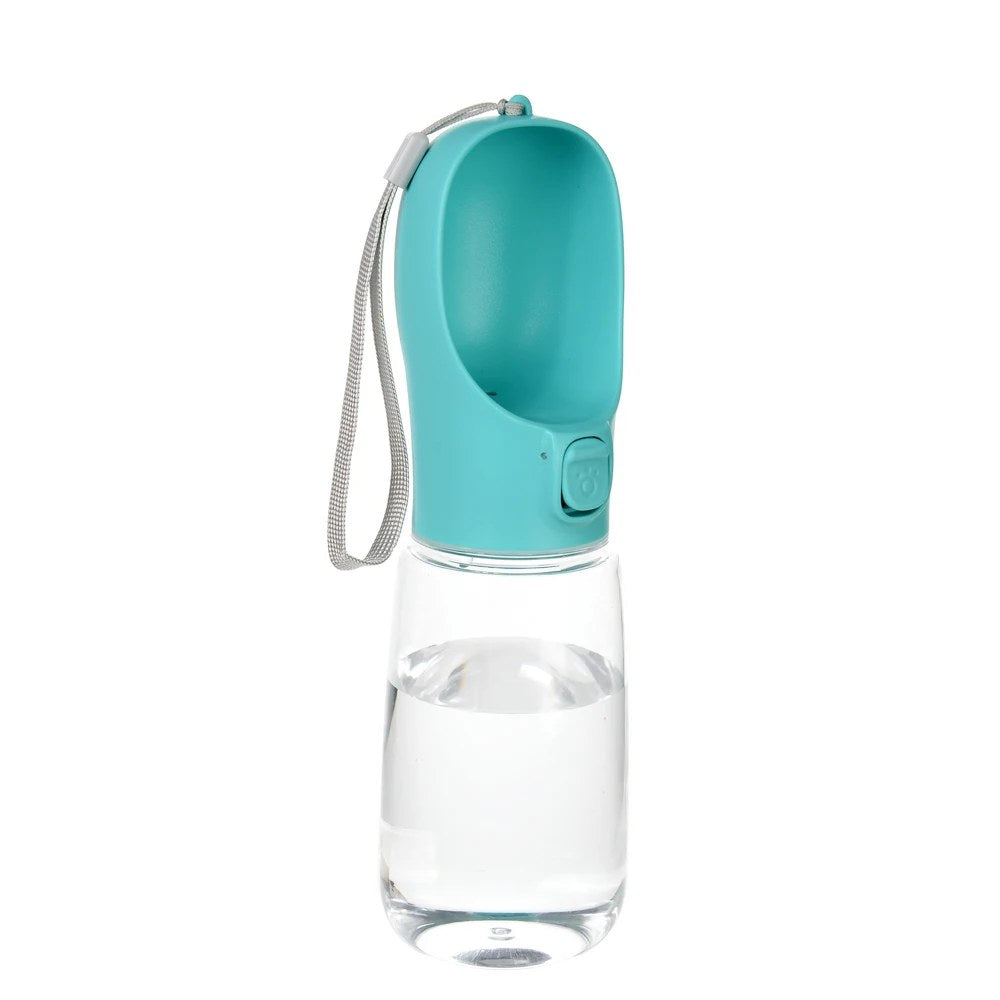 Water bottle color options