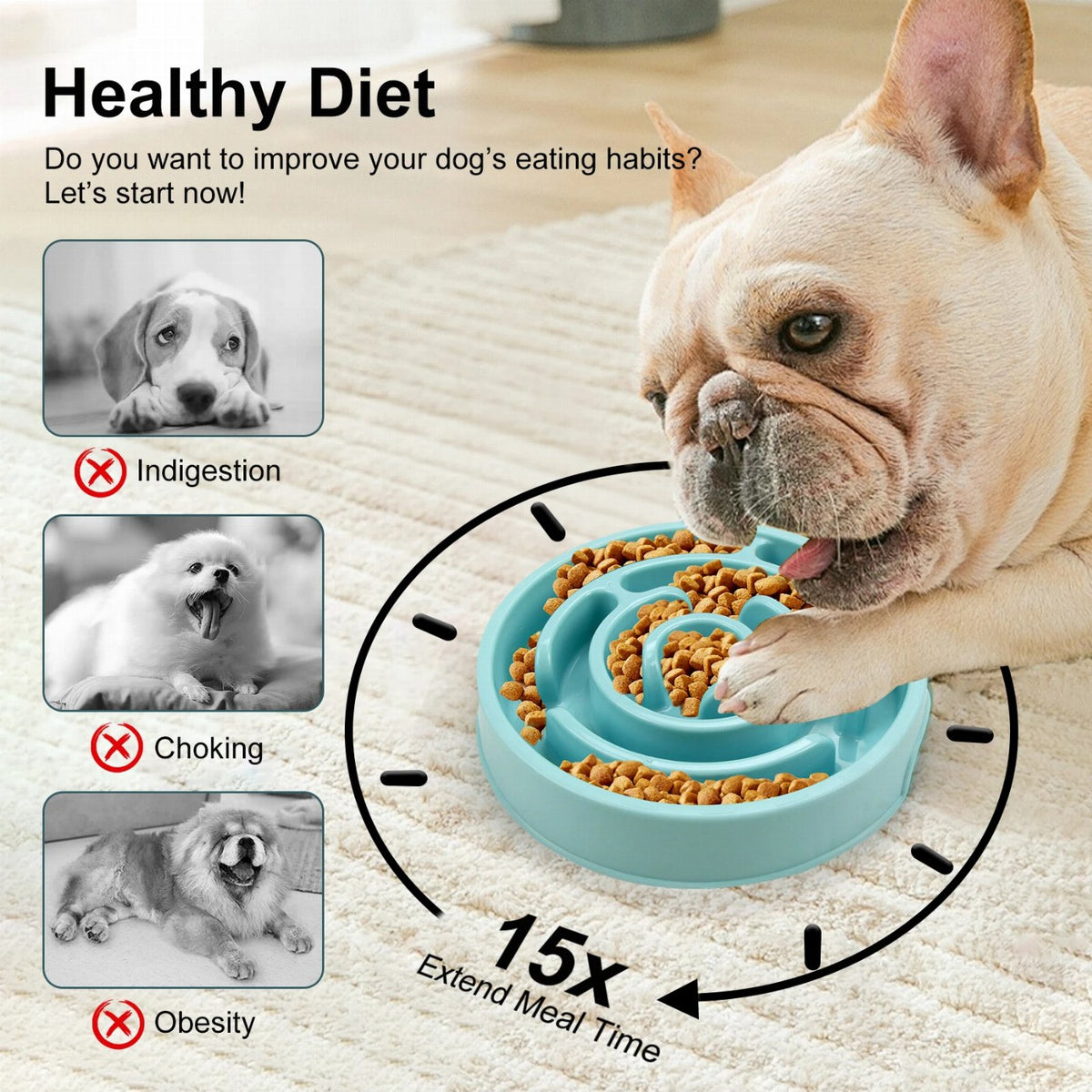 Dog eating from maze slow feeder
