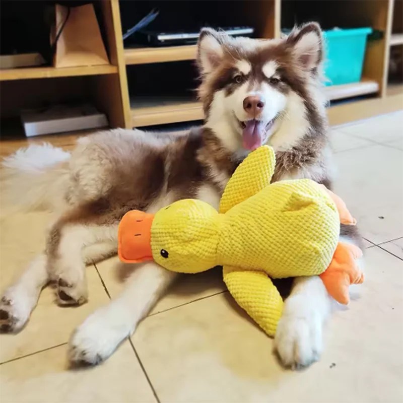 Duck toy squeaker feature