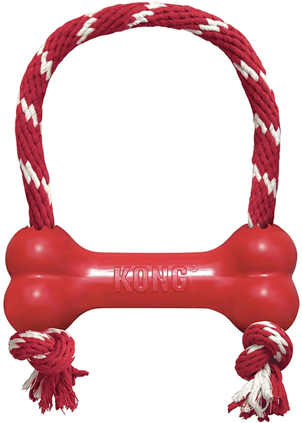 Puppy chewing KONG goodie bone