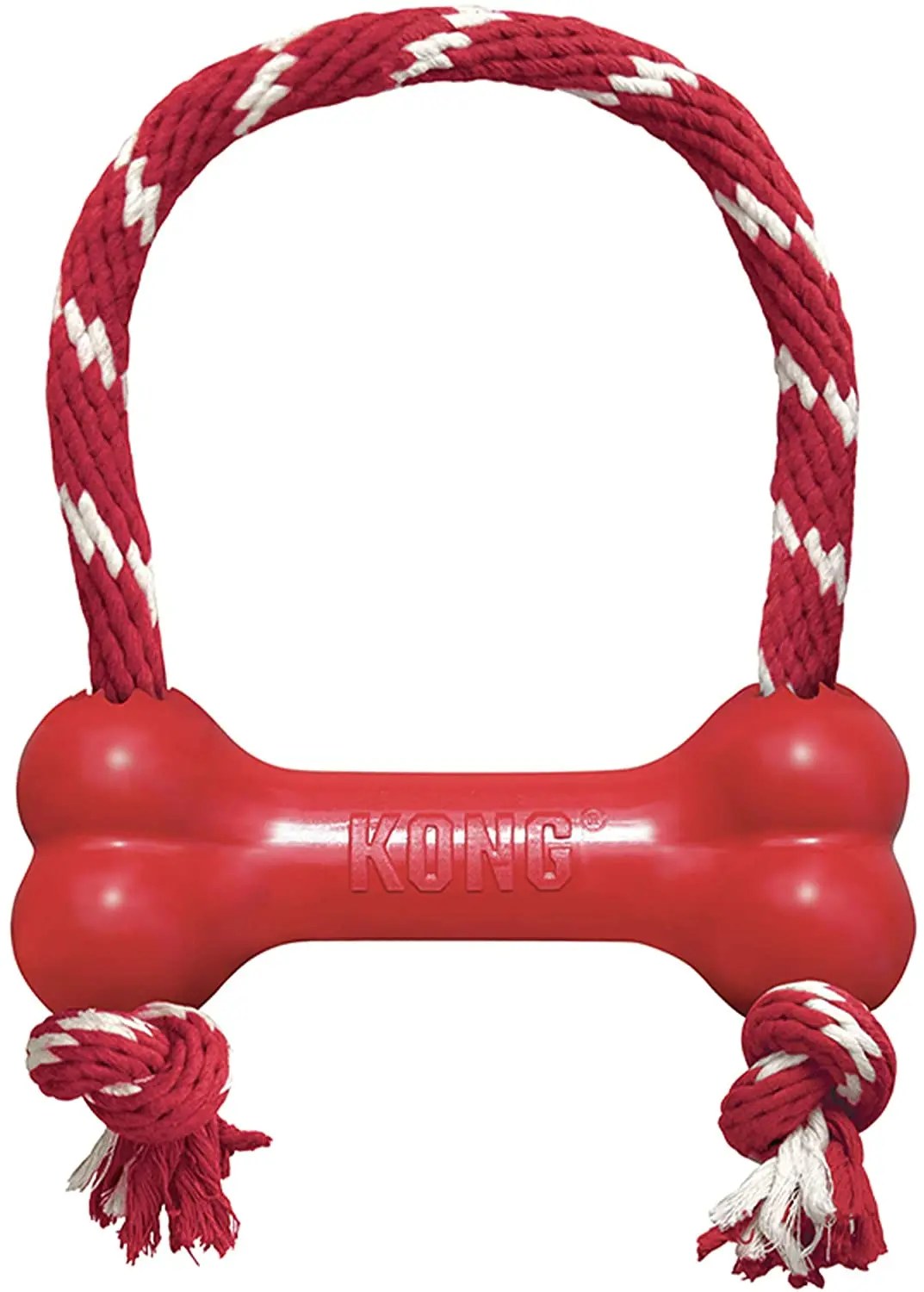 Puppy chewing KONG goodie bone