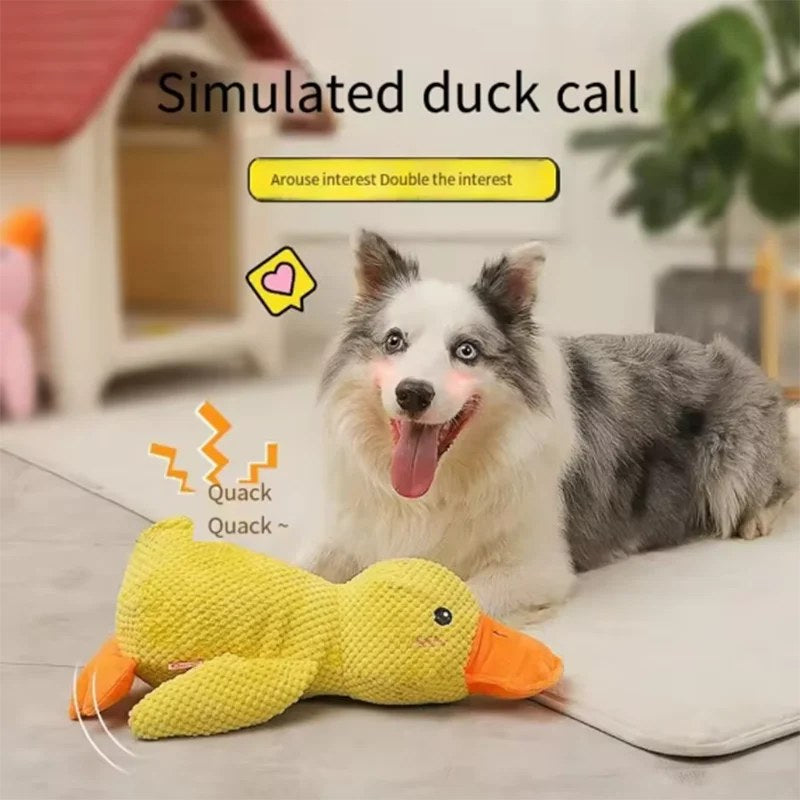 Dog playing with yellow duck toy