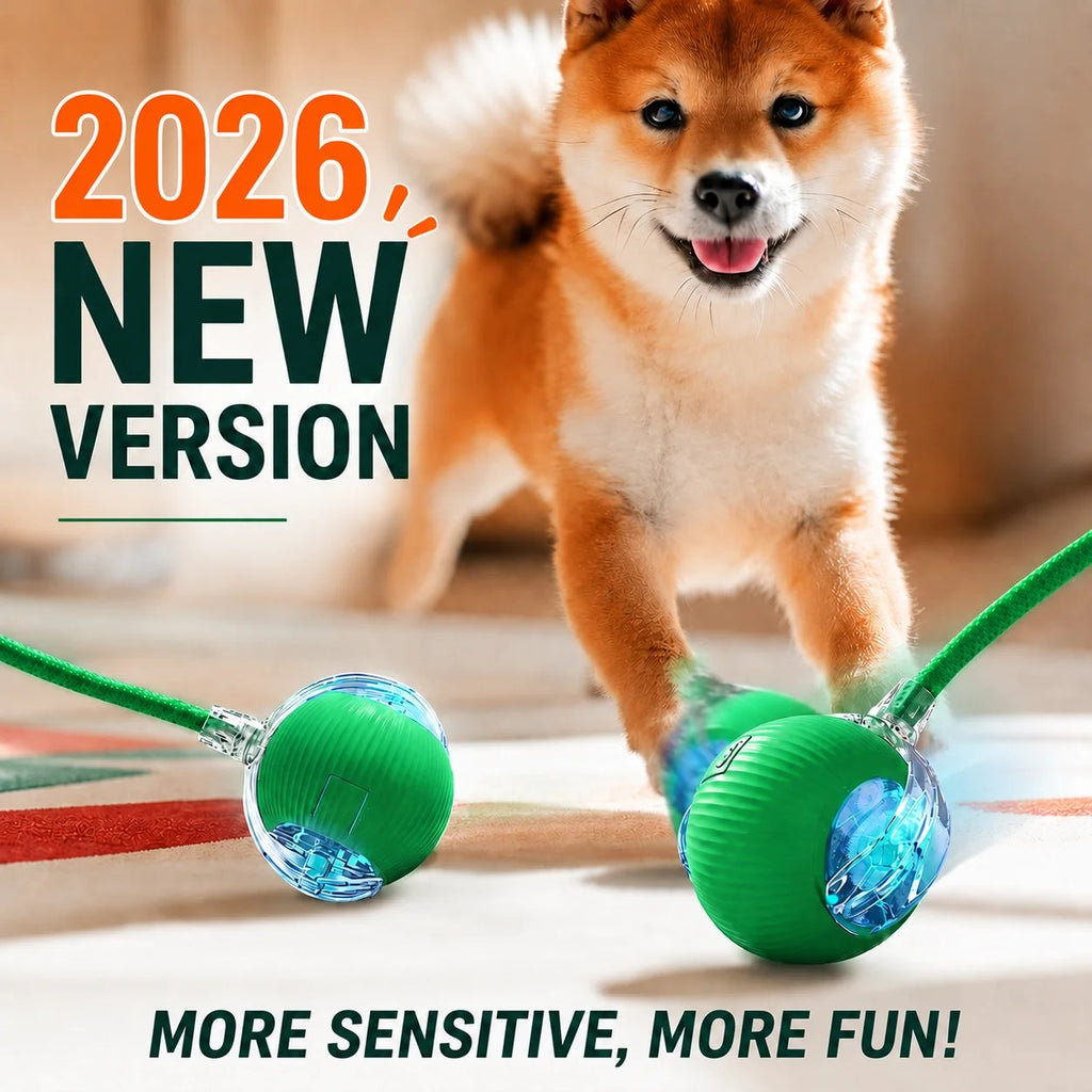 Rolling ball toy play modes