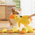 Yellow duck squeaky dog toy