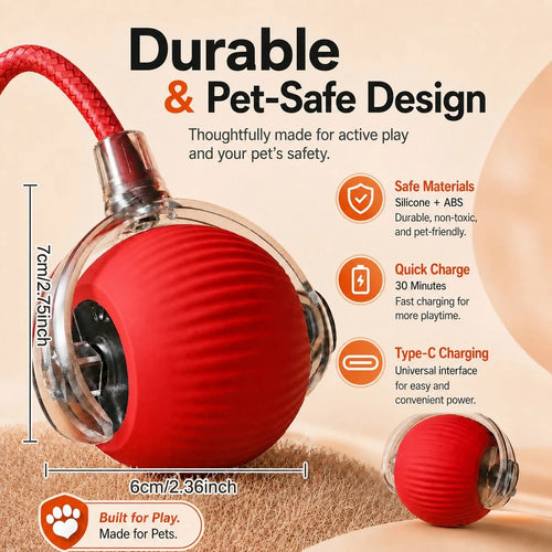 Rolling ball toy charging port