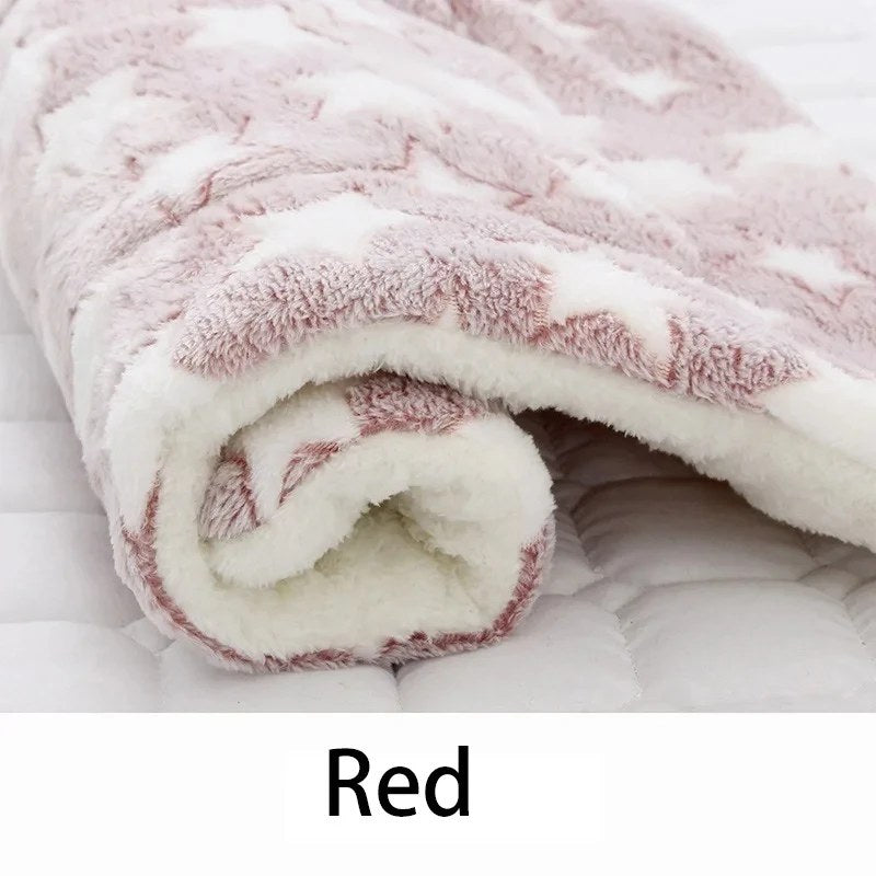 alishop:52d6d5adef56