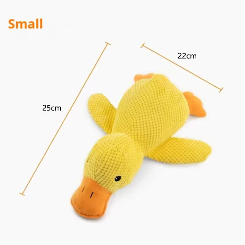 Duck toy close-up detail