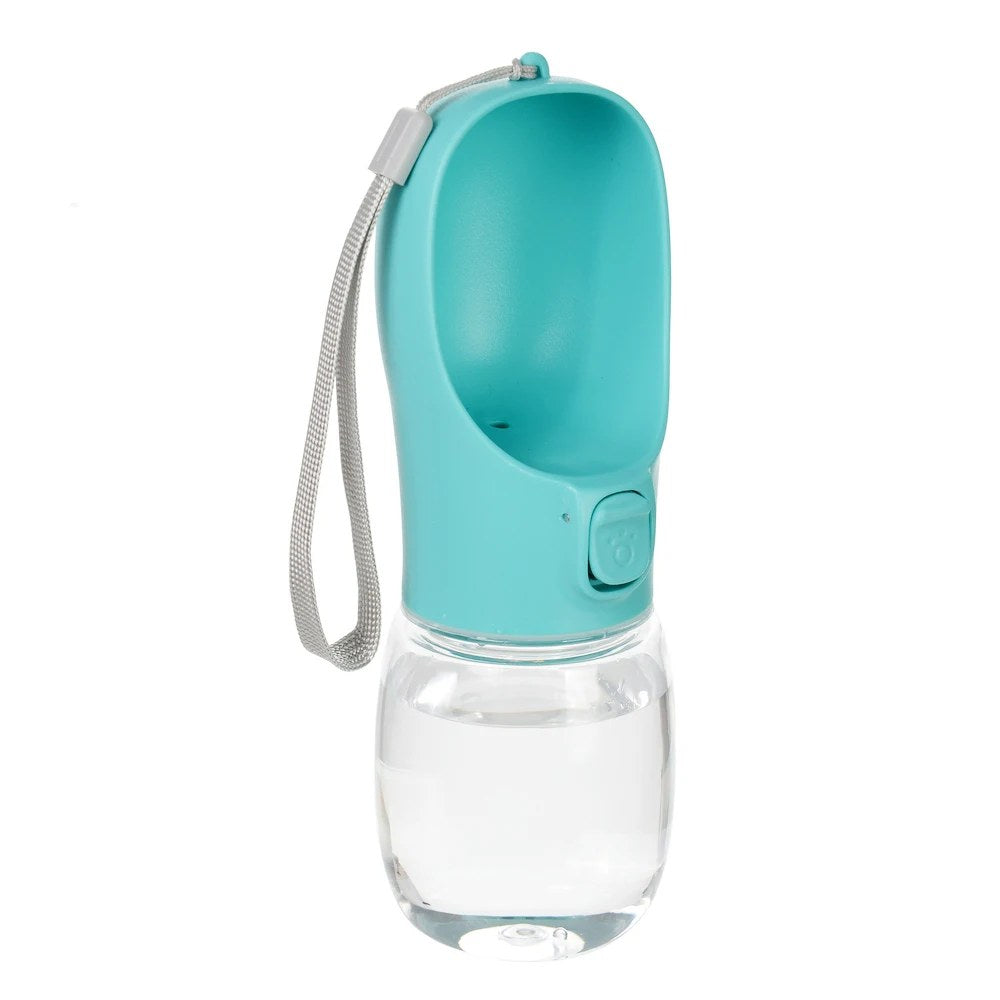 Water bottle size comparison