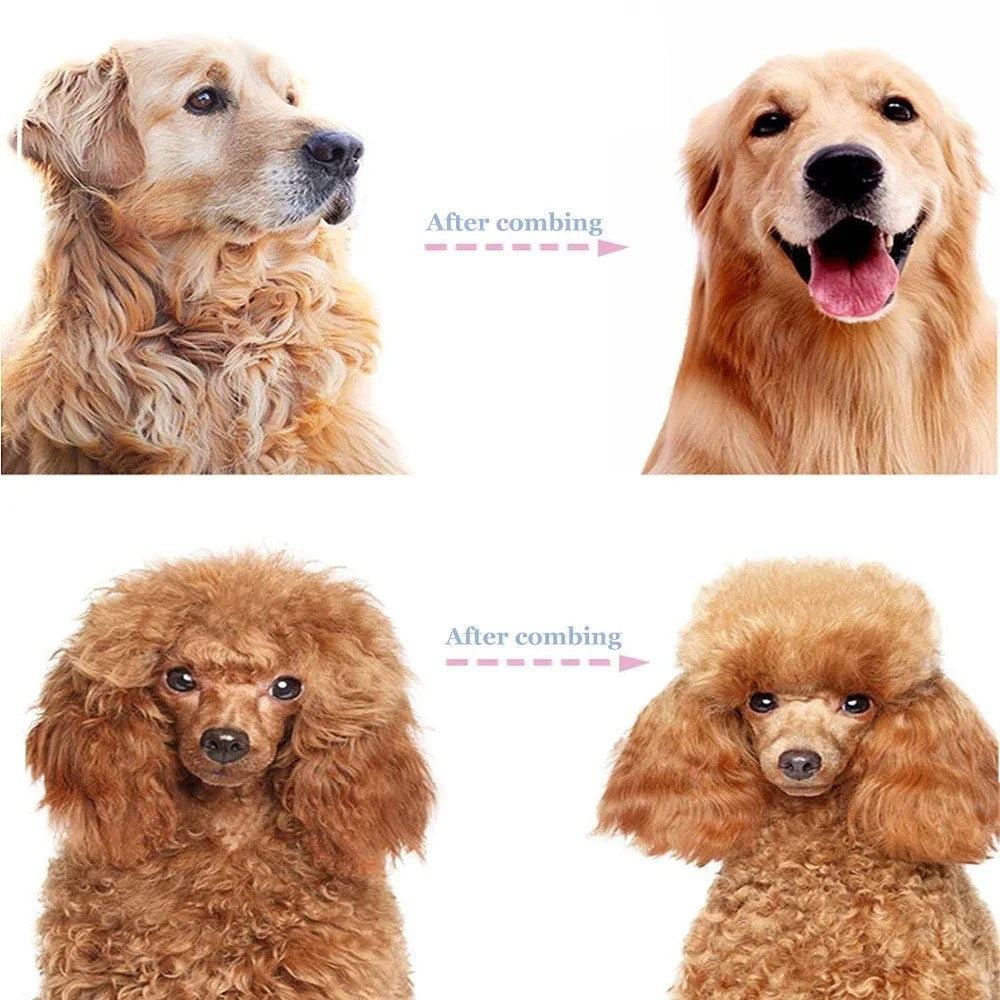 Deshedding brush removing loose fur
