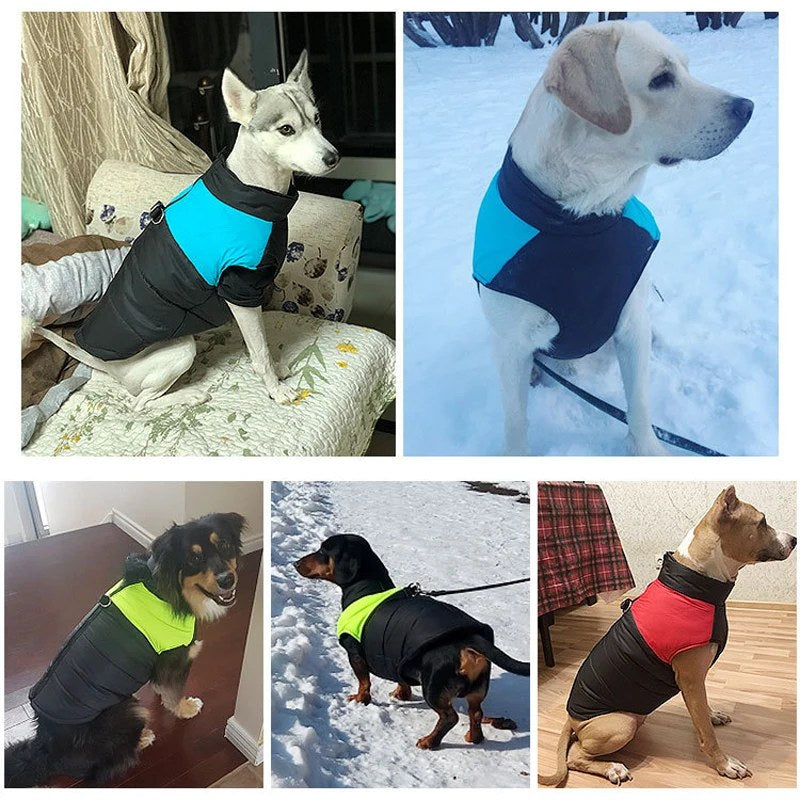Winter coat D-ring leash attachment