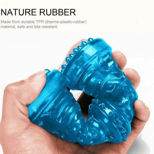 Puppy chewing rubber teething bone